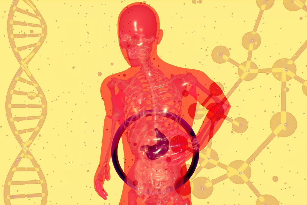 Non-alcoholic Fatty Liver Disease (NAFLD)