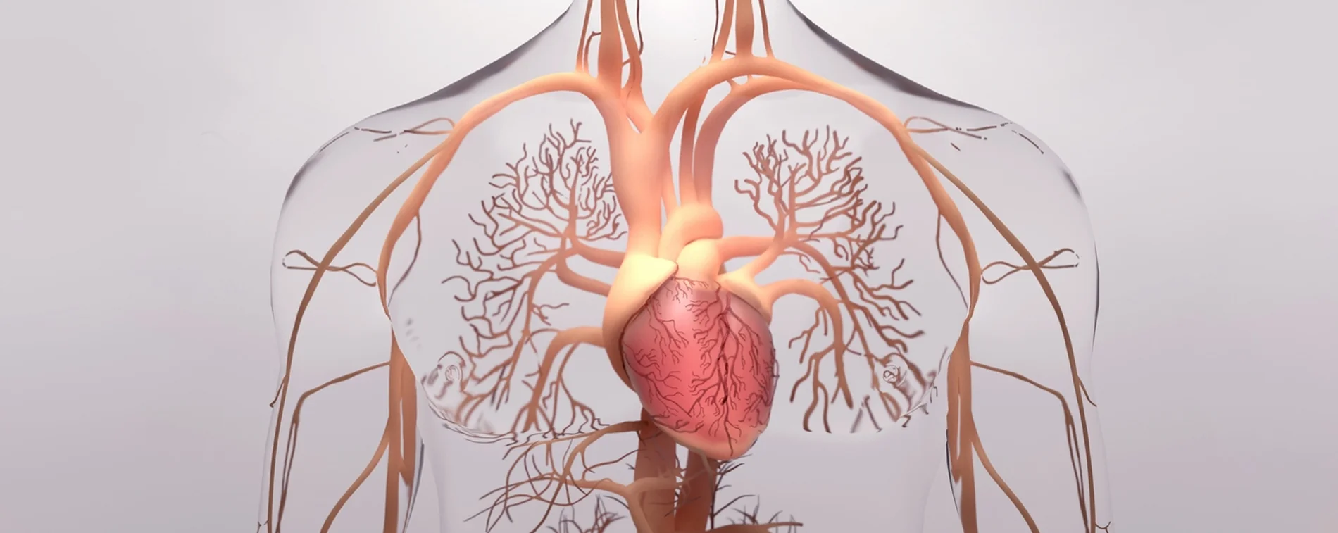 Medical Errors in Healthcare Let’s talk about interstitial lung disease